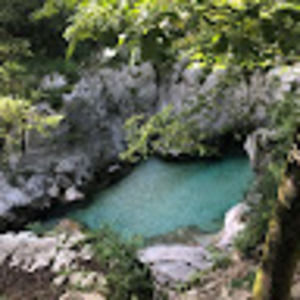 Meet your Posher, Judy and harv